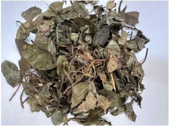 Ai Di Cha 矮地茶 - Ardisiae Japonicae Herba