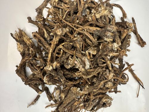 Bai Tou Weng 白頭翁 - Pulsatillae Radix