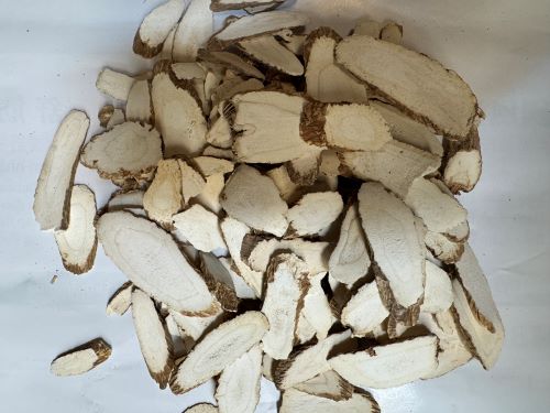 Bai Zhi 白芷 - Angelicae Dahuricae Radix