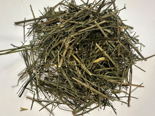 Chuan Xin Lian 穿心蓮 - Andrographis Herba