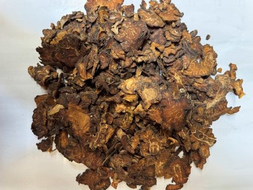 Chuan Xiong 川芎 - Chuanxiong Rhizoma