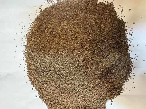 Di Fu Zi 地膚子 - Kochiae Fructus