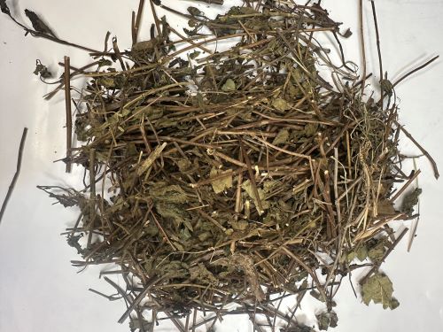 Dong Ling Cao 冬淩草 - Rabdosiae Rubescentis Herba