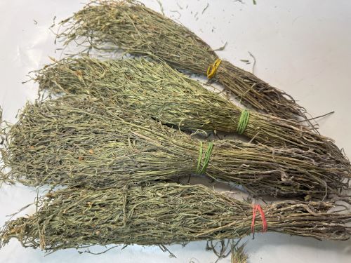 Du Jiao Jin (Du Jiao Gan) 獨腳金 (獨腳柑) - Striga Asiatica Herba