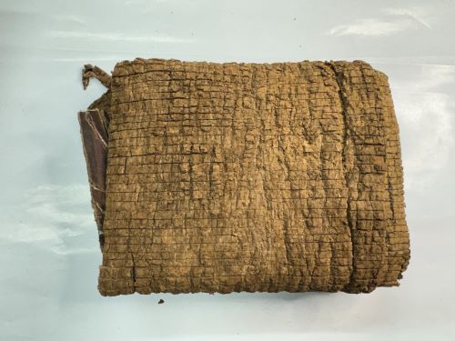 Du Zhong 杜仲 - Eucommiae Cortex