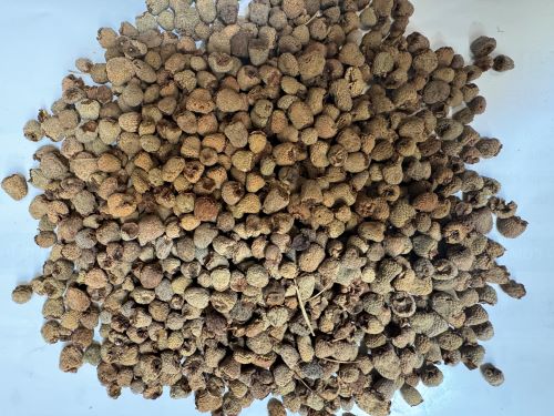 Fu Pen Zi 覆盆子 - Rubi Fructus