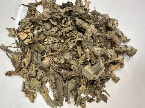 Fu Ping (Large) 浮萍 (大葉)- Spirodelae Herba