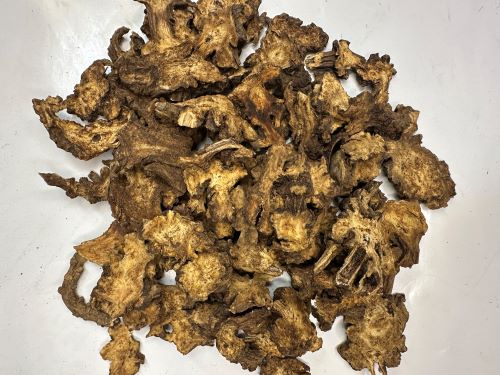 Gao Ben 藳本 - Ligustici Rhizoma Et Radix