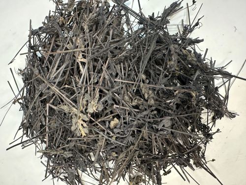 Gui Jian Yu 鬼箭羽 - Euonymus Alatus Ramulus