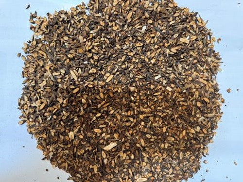 Gui Zhi 桂枝 - Cinnamomi Ramulus