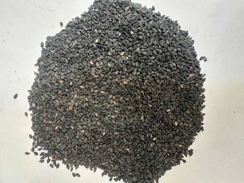 Hei Zhi Ma 黑芝麻 - Sesami Semen Nigrum