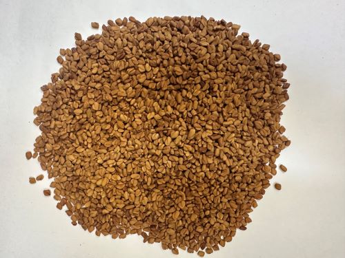 Hu Lu Ba 胡蘆巴 - Trigonellae Semen