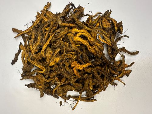 Huang Lian 黃連 - Coptidis Rhizoma