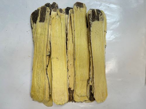 Huang Qi 黃耆 - Astragali Radix