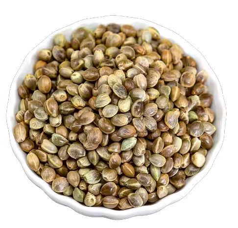 Huo ma ren 火麻仁 - Cannabis Fructus