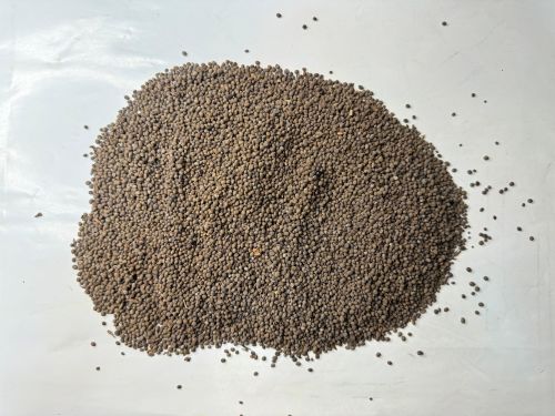 Ji Xing Zi 急性子 - Impatientis Semen