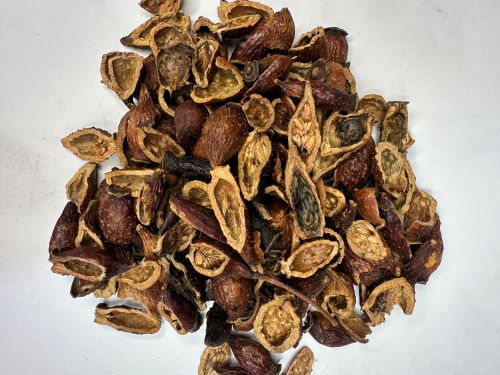 Jin Ying Zi 金櫻子 - Rosae Laevigatae Fructus