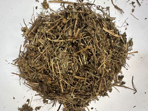 Lao Guan Cao 老鸛草 - Erodii Herba/Geranii Herba