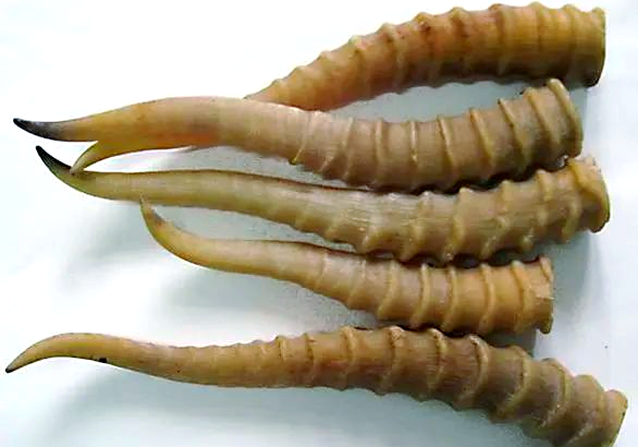 Ling Yang Jiao 羚羊角 - Saigae Tataricae Cornu