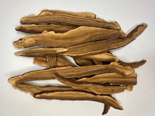 Ling Zhi (Red, Cut) 紅靈芝片 - Ganoderma