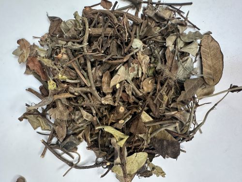 Luo Shi Teng 絡石藤 - Trachelospermi Caulis Et Folium