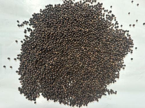 Man Jing Zi 蔓荊子 - Viticis Fructus