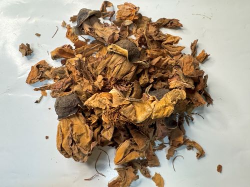 Mu Mian Hua 木棉花 - Gossampini Flos