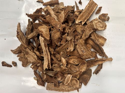 Mu Xiang 木香 - Aucklandiae Radix