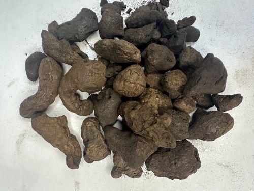 Jiang Tan 薑炭 - Zingiberis Carbonisatum