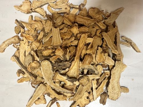 Qian Hu 前胡 - Peucedani Radix