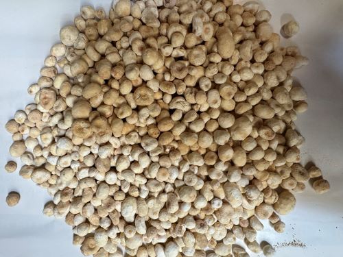 Qing Ban Xia 清半夏 - Pinelliae Rhizoma Praeparatum Cum Alumine