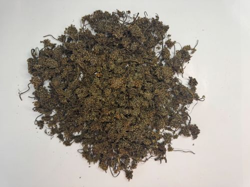 Ren Shen Hua 人參花 - Ginseng Flos