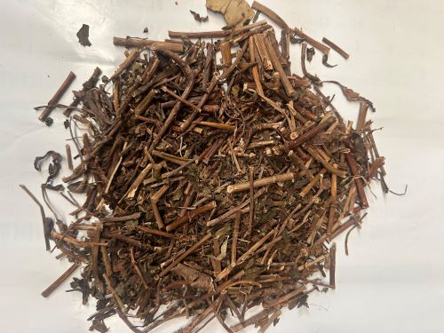 Sang Ji Sheng 桑寄生 - Taxilli Herba