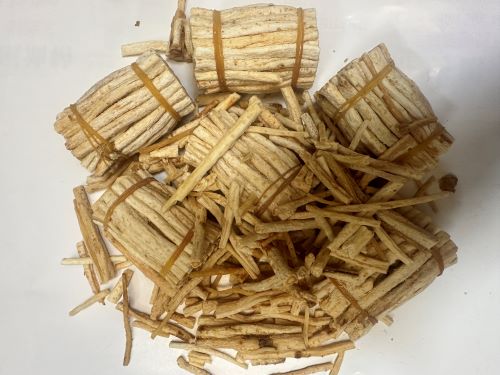 Bei Sha Shen 北沙參 - Glehniae Radix