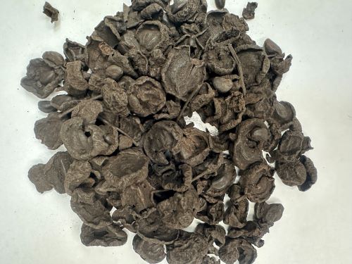 Shan Zha Tan 山楂炭 - Crataegi Fructus Carbonisatum