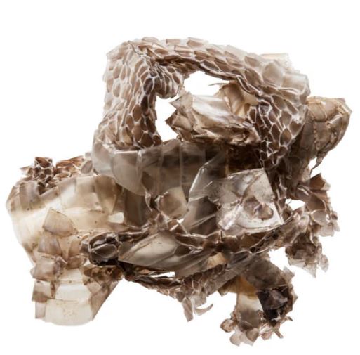 She Tui 蛇蛻 - Serpentis Periostracum