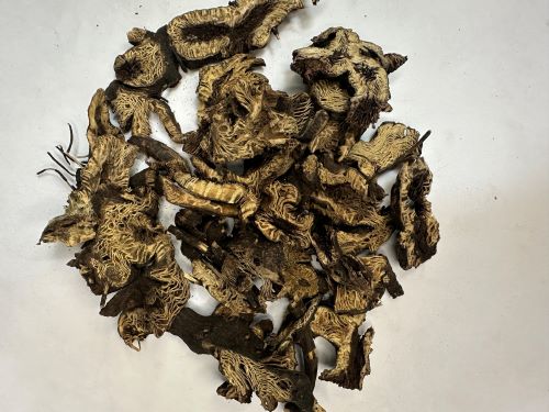 Sheng Ma (North) 升麻(北) - Cimicifugae Rhizoma
