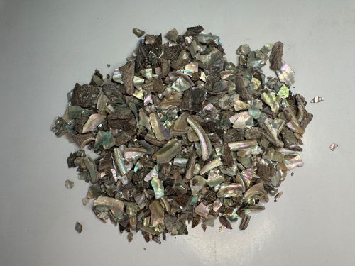 Shi Jue Ming 石決明 - Haliotidis Concha