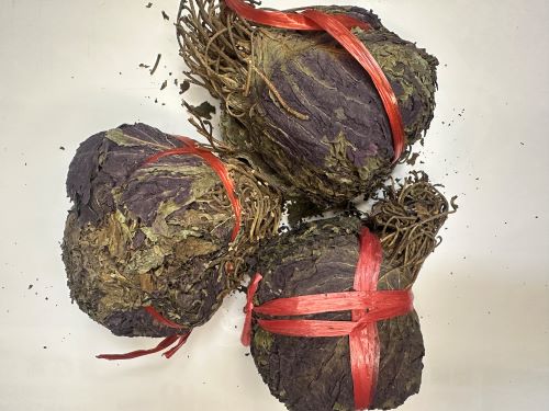 Zi Su Ye 紫蘇葉 - Perillae Folium