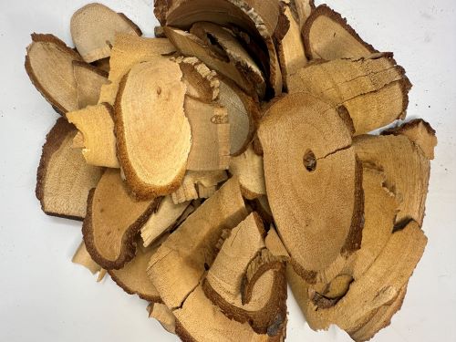 Teng Li Gen 藤梨根 - Actiniia Chinensis Radix