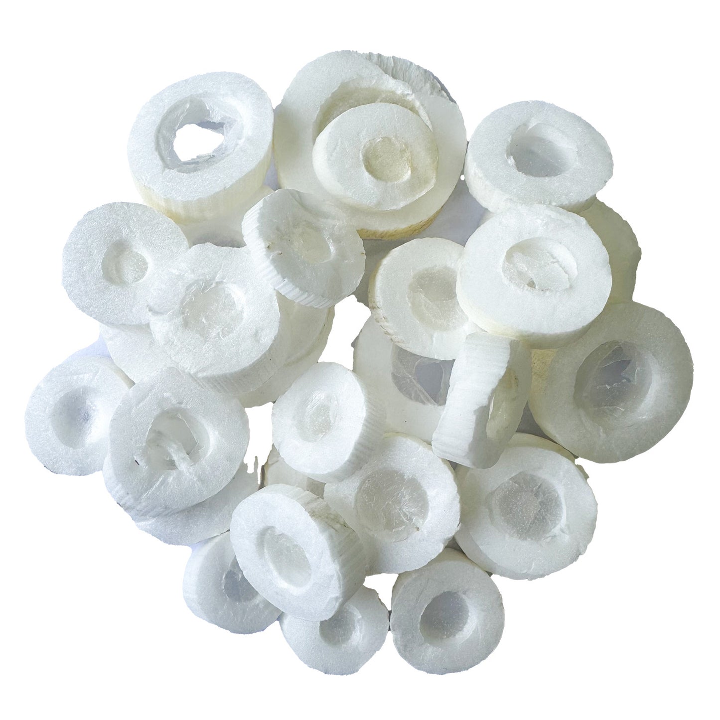 Tong Cao 通草 - Tetrapanacis Medulla