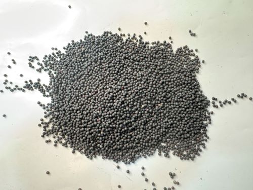 Wang Bu Liu Xing 王不留行 - Vaccariae Semen