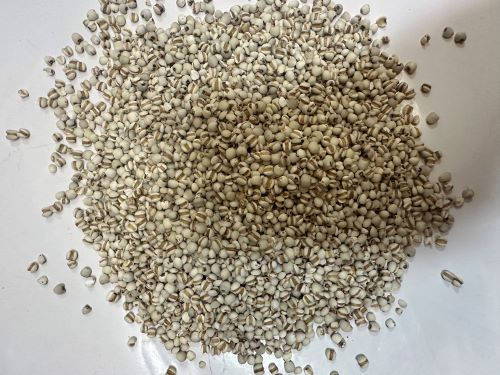 Yi Yi Ren 薏苡仁 - Coicis Semen