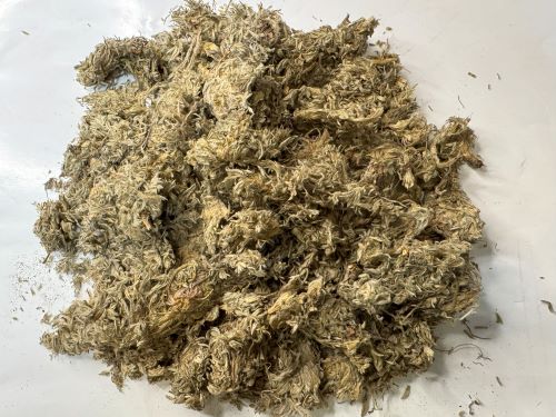 Yin Chen (Yin Chen Hao) 茵陳 (茵陳蒿) - Artemisiae Scopariae Herba