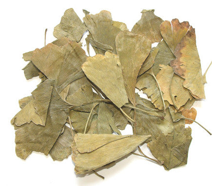 Yin Xing Ye 銀杏葉 - Ginkgo Folium