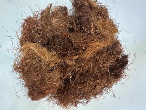 Yu Mi Xu 玉米須 - Maydis Stigma