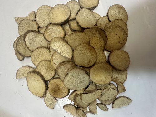 Ze Xie 澤瀉 - Alismatis Rhizoma