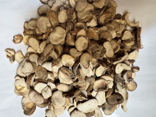 Zhe Bei Mu 浙貝母 - Fritillariae Thunbergii Bulbus