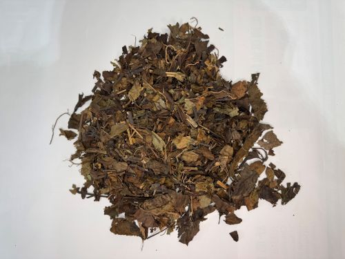 Zhong Jie Feng 腫節風 - Sarcandrae Herba