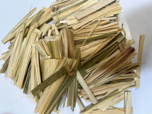 Zhu Ru 竹茹 - Bambusae Caulis In Taenia